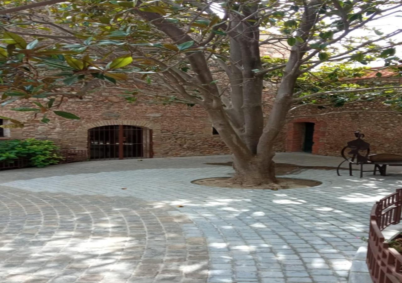 Villa Avec Plage A Pied Et Grande Piscine Sainte-Marie Exterior foto